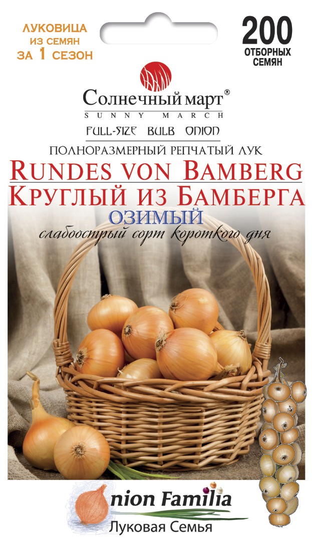 Лук "Круглый из Бамберга"