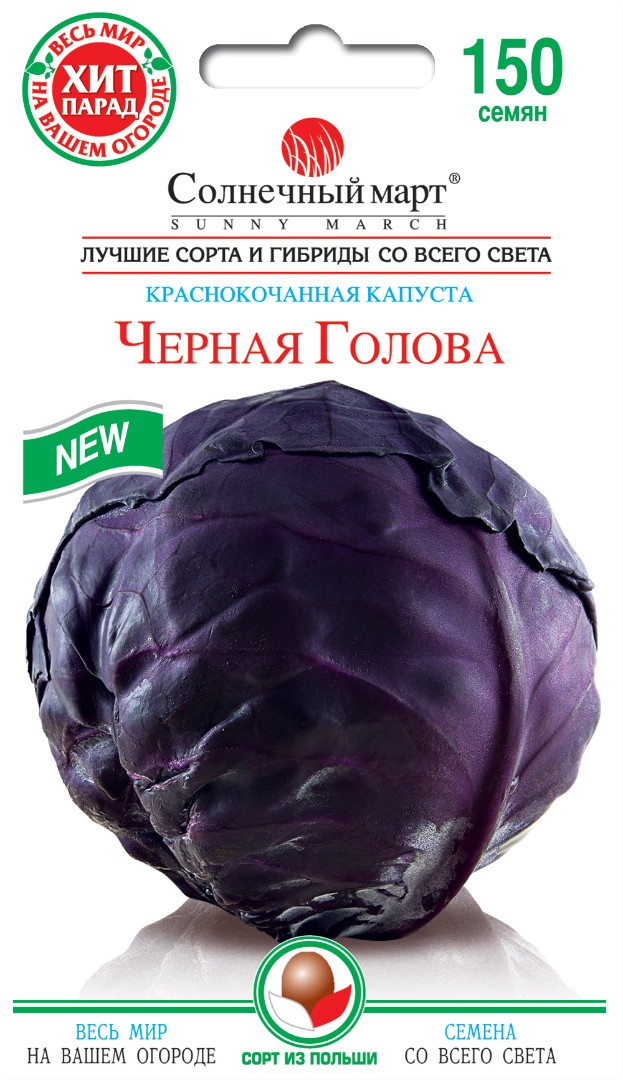 Капуста "Чорна голова"