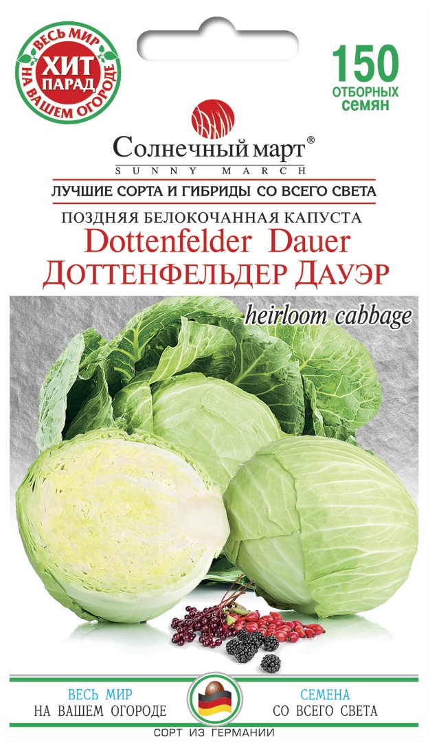 Капуста "Доттенфельдер Дауер"