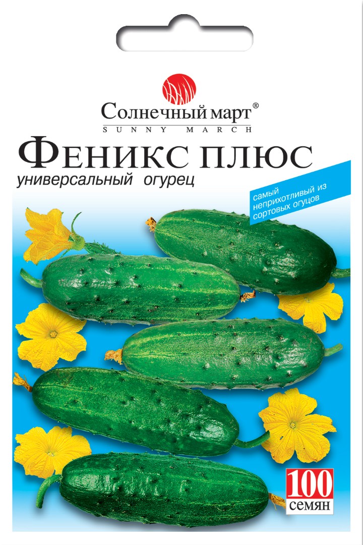 Огурец "Феникс плюс"