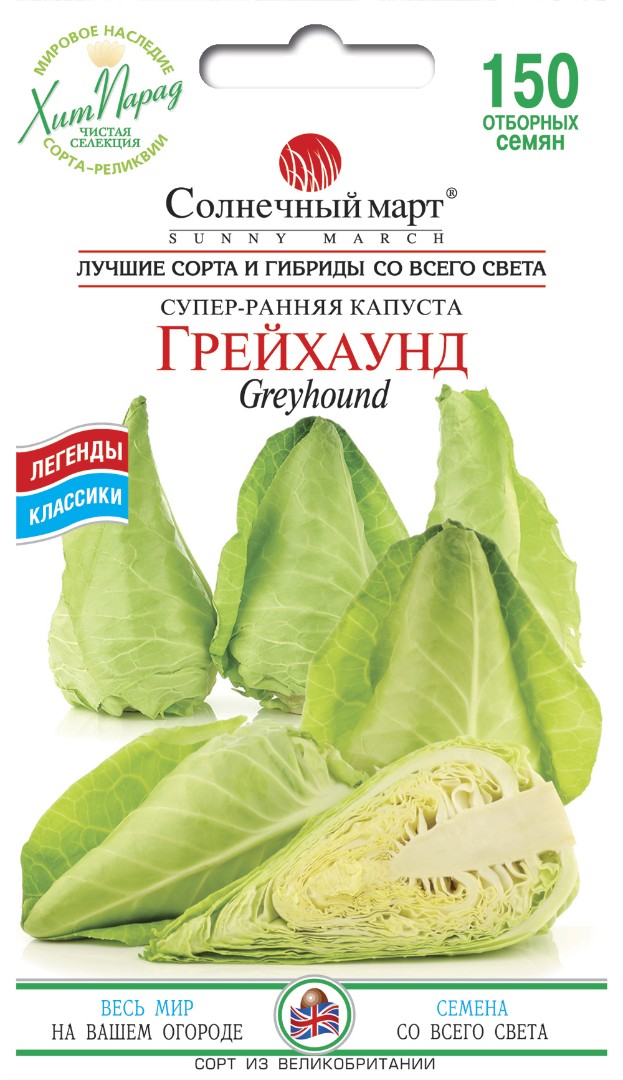 Капуста рання "Грейхаунд"