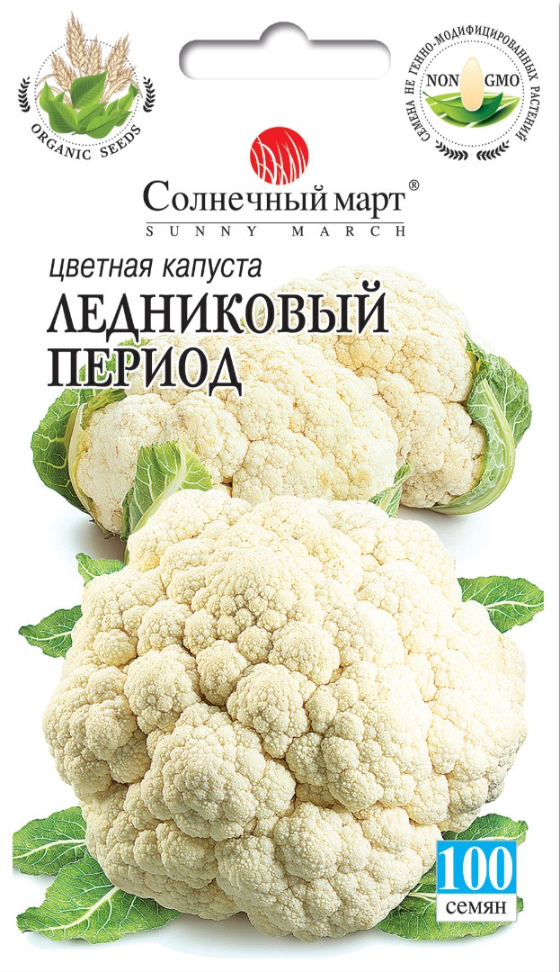 Капуста Льодовиковий період 100шт