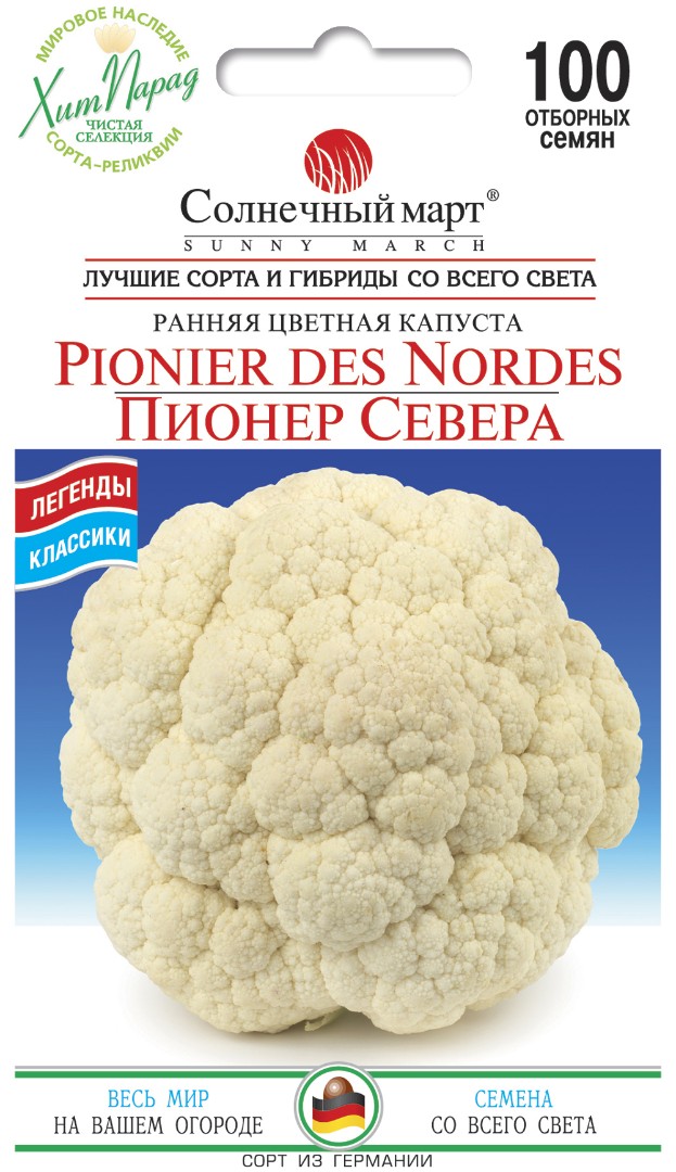 Капуста "Піонер півночі"