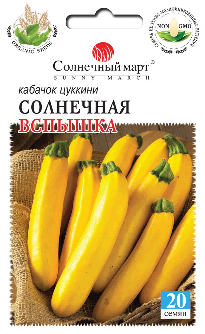 Кабачок "Солнечная вспышка"